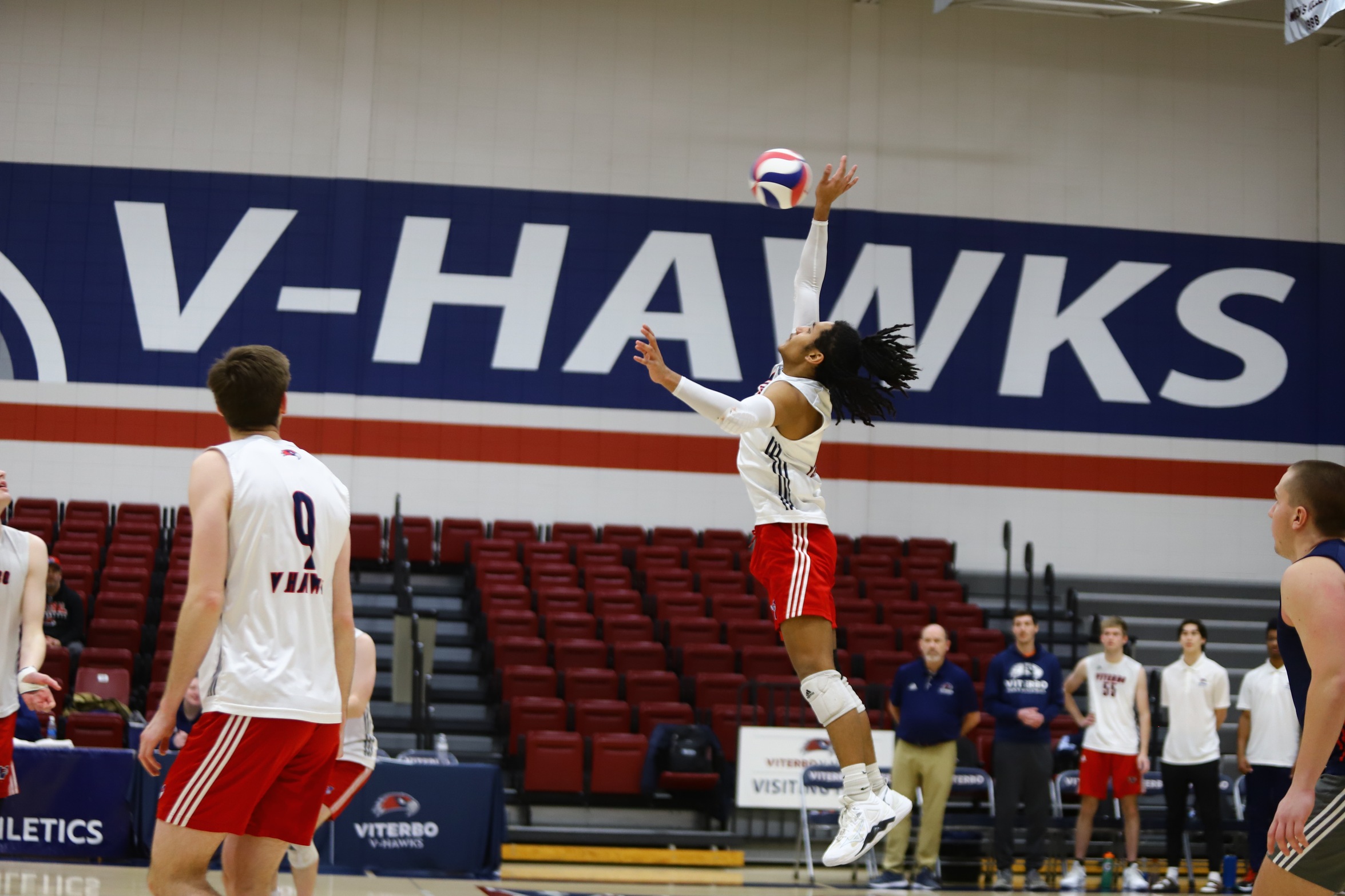 Bees Sting V-Hawks in Three