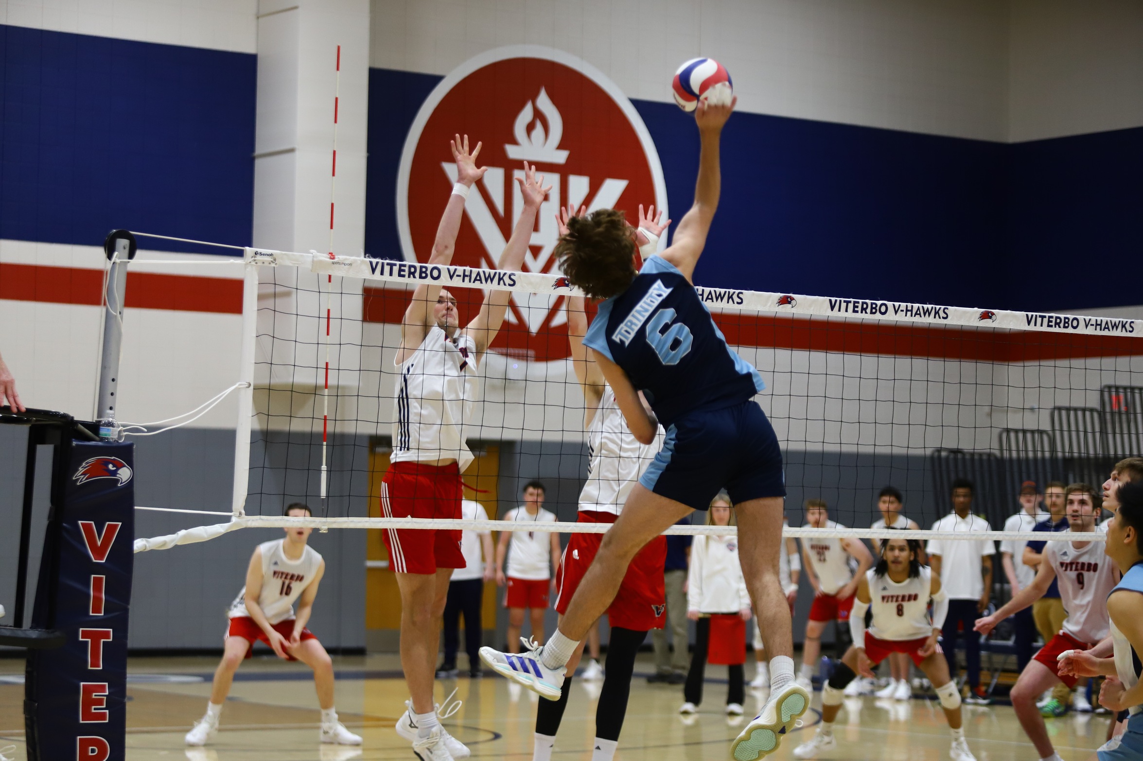 V-Hawks Pinned by Eagles