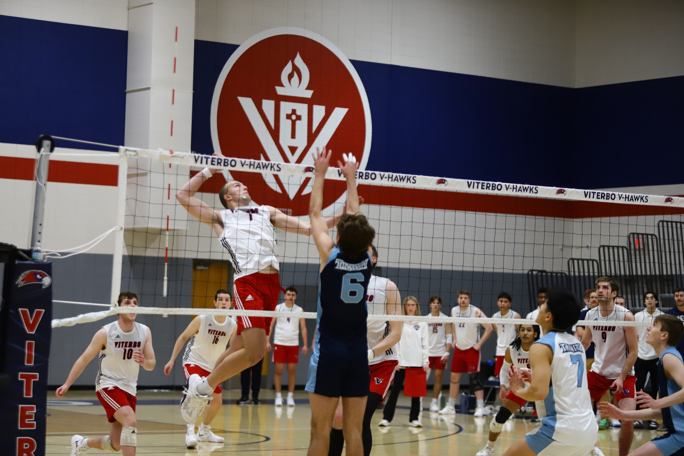 V-Hawks Fall in Home Tri-Match