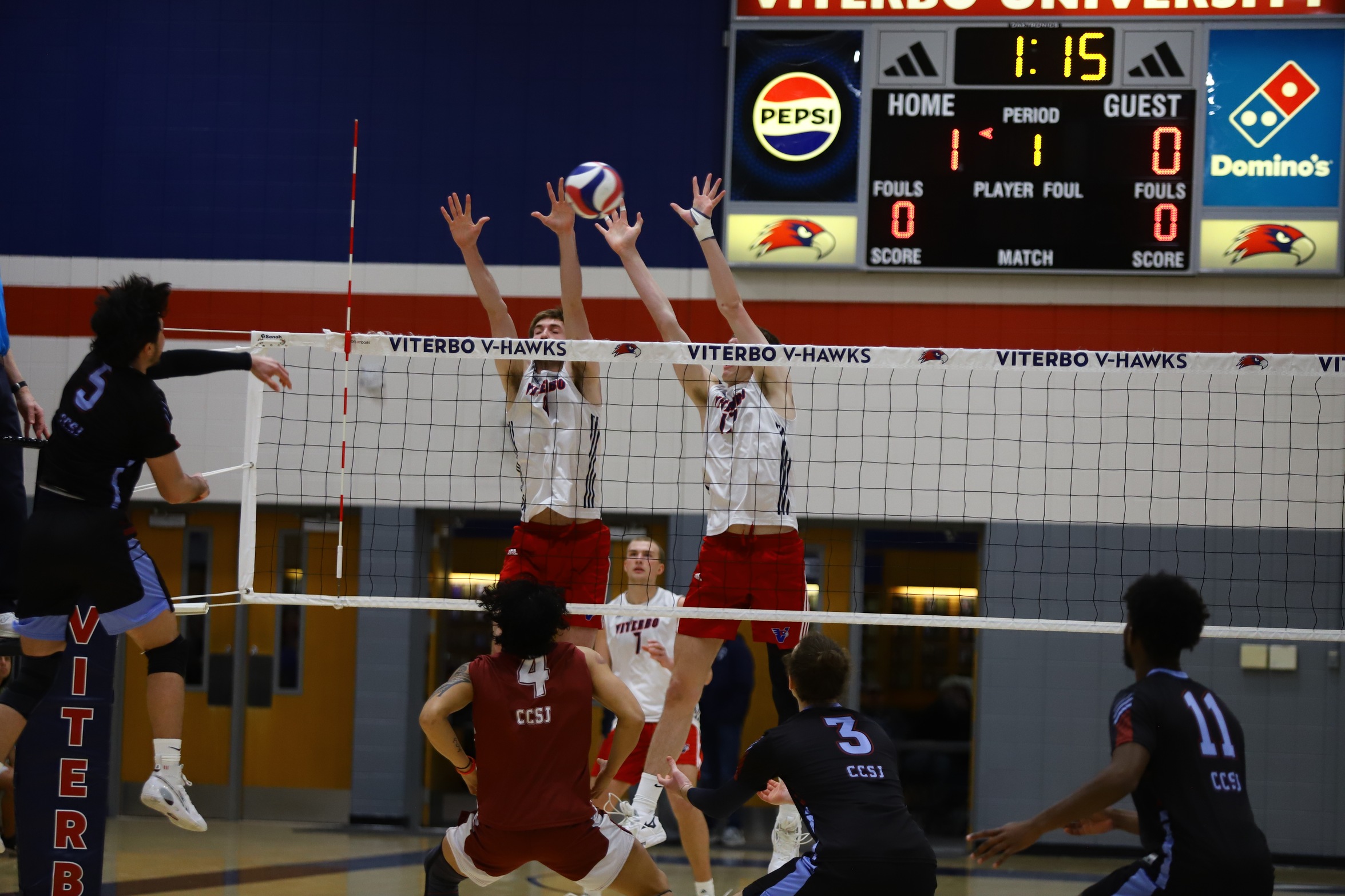 V-Hawks 14 Blocks Top Fighting Bees