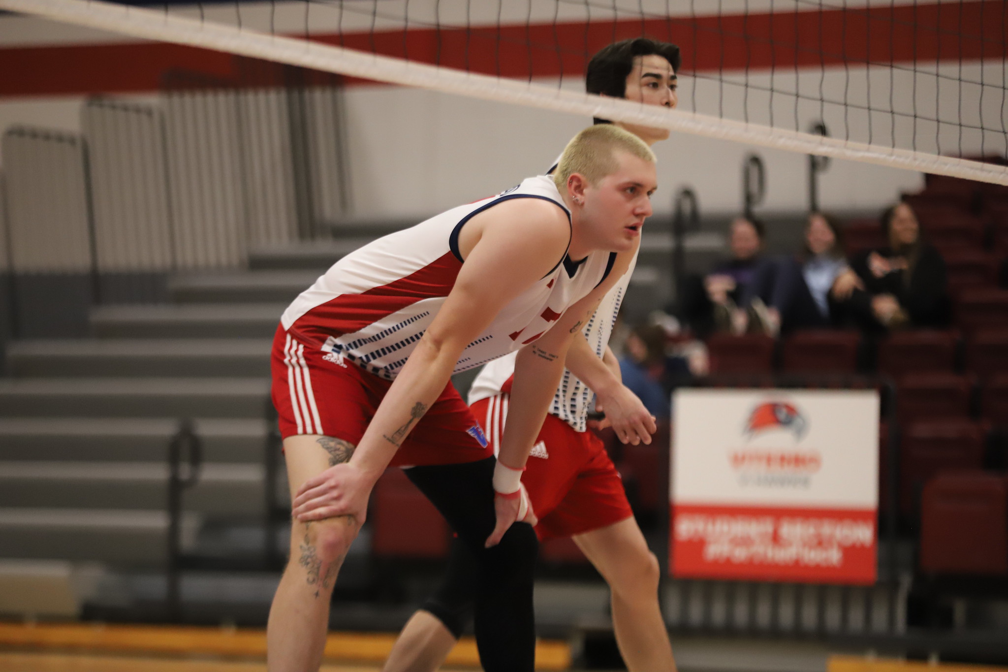 V-Hawks Drop Conference Match Against Bees