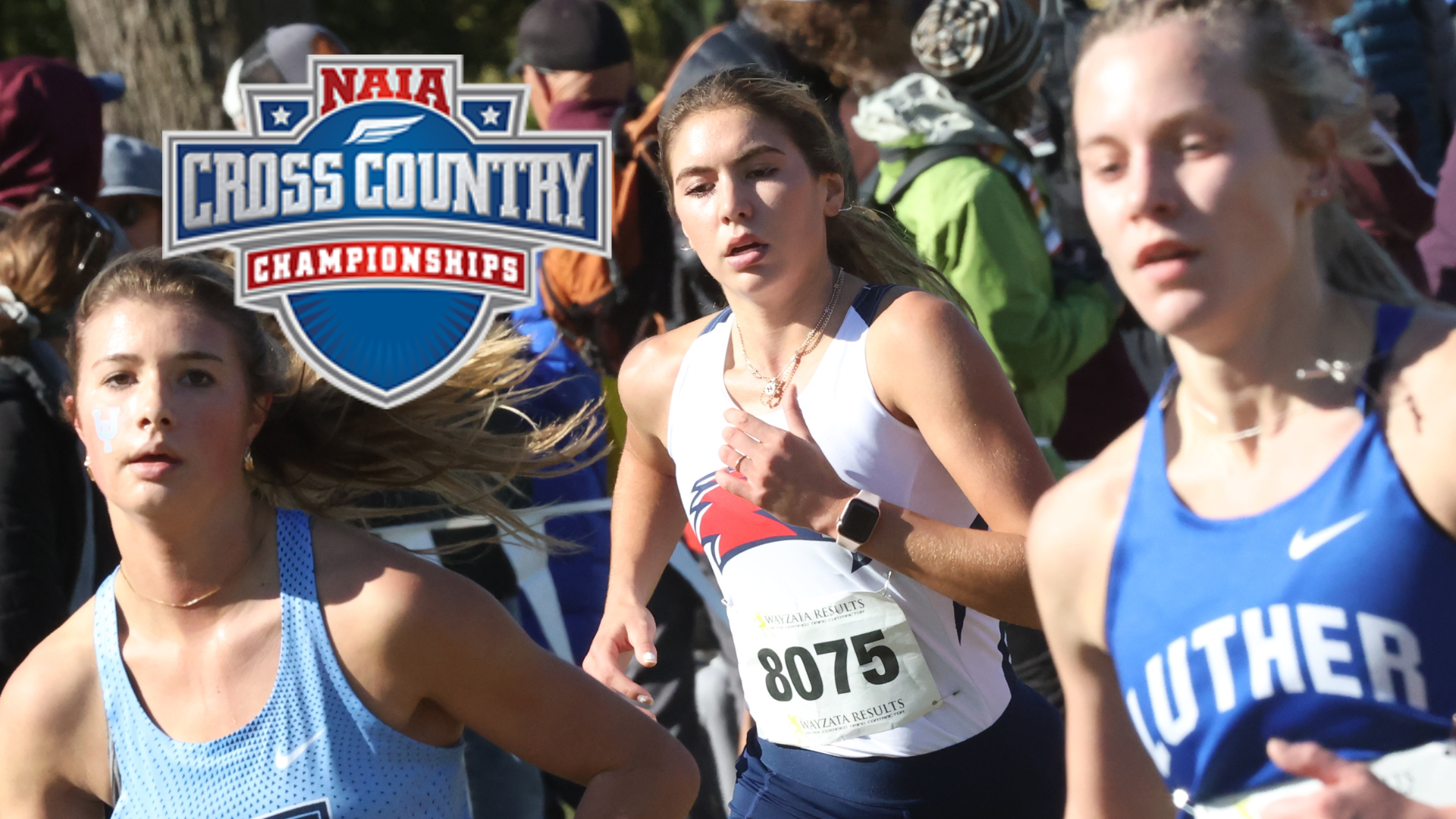 Gerber Runs in NAIA Championship